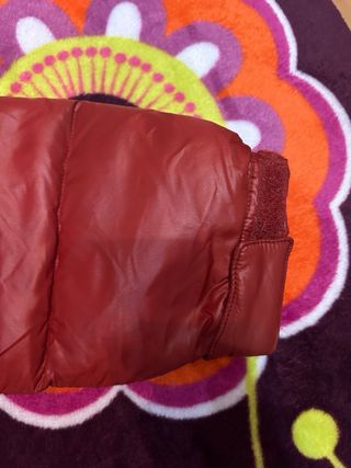 The North Face Plumífero 700 Rojo