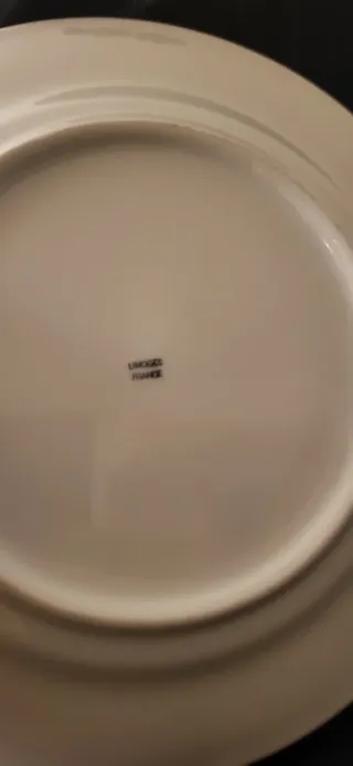 Set di 2 Piatti Decorativi di Limoges