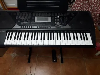 Teclado Casio CTK-811EX