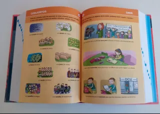 Diccionario de Primaria (Spanish Edition)
