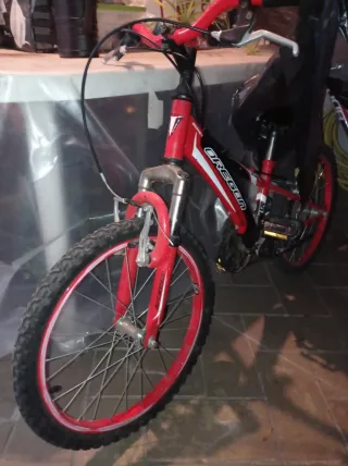 Bici MTB niño 20/22 con marchas
