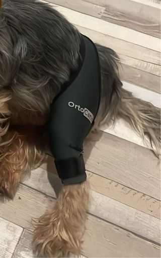 Rodillera OrtoCanis Perro Izquierdo 15-16cm