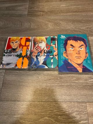 Mangas variados (Consultar precio)