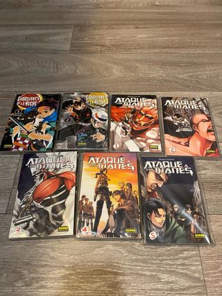 Mangas variados (Consultar precio)