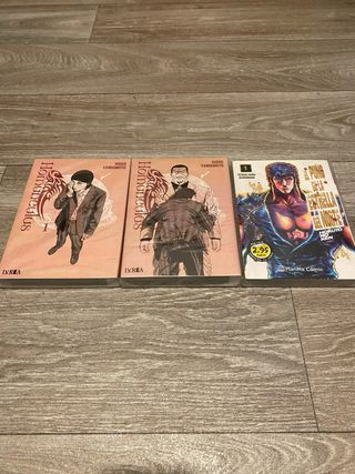 Mangas variados (Consultar precio)