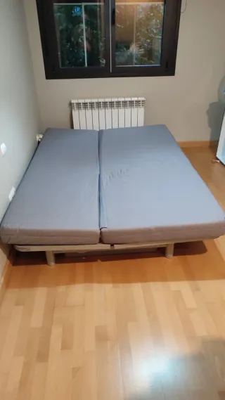 Sofá Cama Gris Tela y Metal.