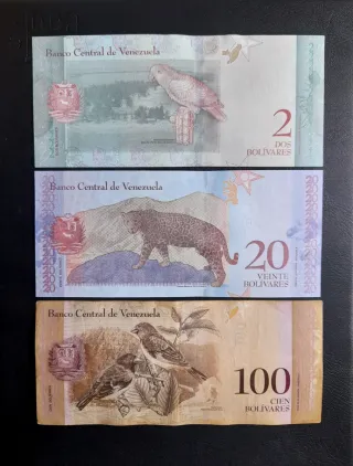 🇻🇪 Billetes Venezuela