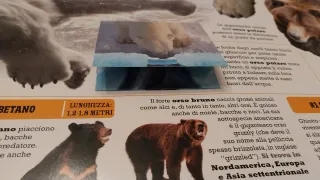 Predatori letali. Scanorama. Ediz. a colori