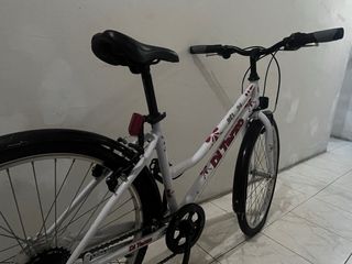 Bicicleta Di Terzo 24”