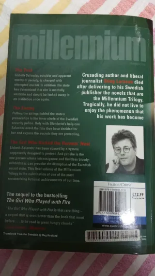 The Girl Who Kicked the Hornets' Nest