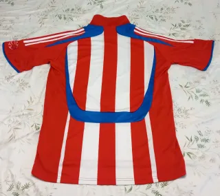 Camiseta Adidas Paraguay Mundial 2010