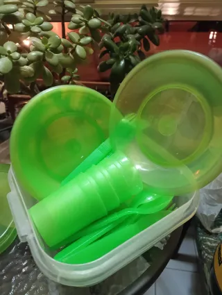 Juego de picnic verde