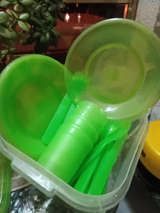 Juego de picnic verde