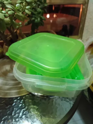 Juego de picnic verde