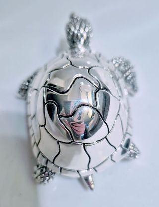 Tartaruga fermacarte Marcello Giorgio