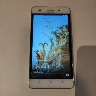 Huawei G Play mini Argento/Bianco