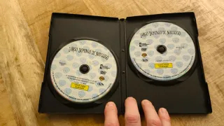 DVD Largo Domingo de Noviazgo