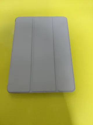 Apple iPad Gris y Blanco