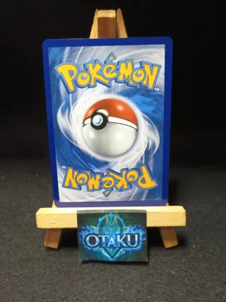 Carta Pokémon - Shauna