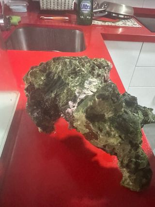 Estructura roca nano marino