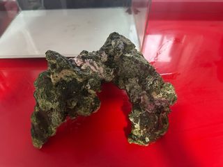 Estructura roca nano marino