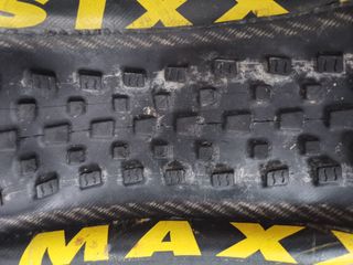 Maxxis Beaver e Pace Copertoni