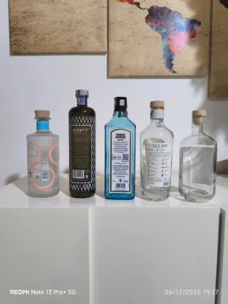 Bottiglie vuote di Gin