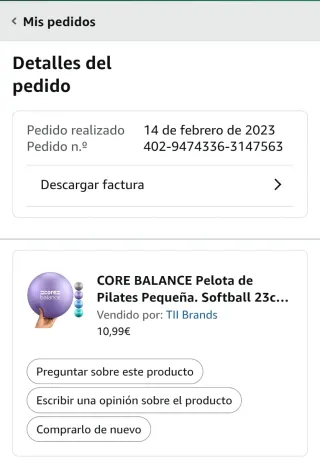 Pelota Core Balance Morada