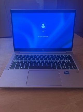 HP ProBook 430 G8 Plata