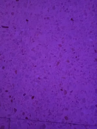 buscar trabaja de casa de limpieza