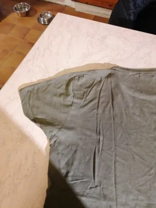 Maglietta Zara donna verde oliva taglia XS