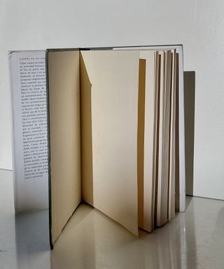 Guerra de las Galias