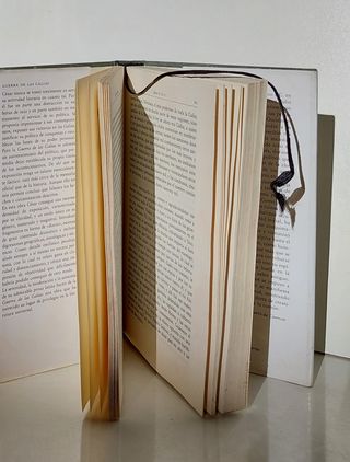 Guerra de las Galias