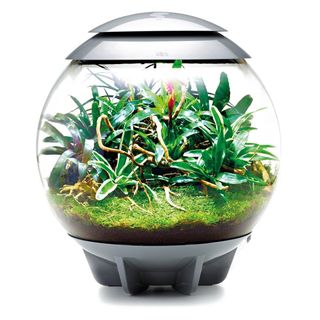 BIORB AIR 60, terrario nunca usado