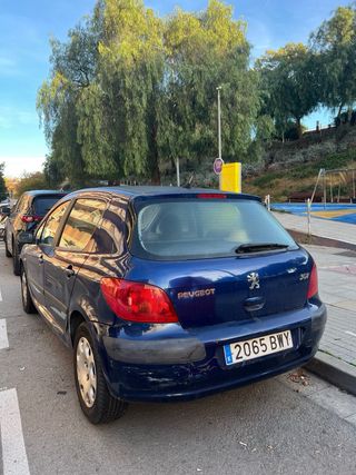 Peugeot 307 2002