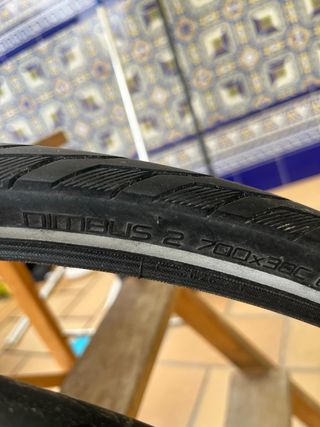 Cubiertas Specialized Nimbus Sport Blackbelt