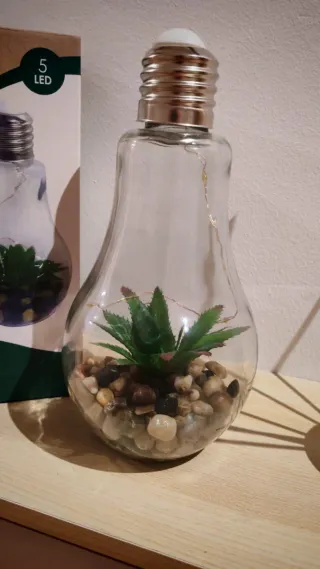 Bombilla Terrario Decorativa Led