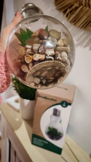 Bombilla Terrario Decorativa Led