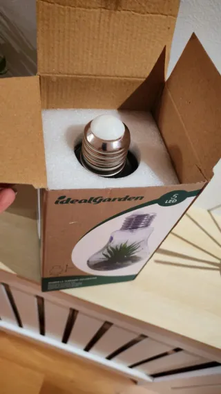 Bombilla Terrario Decorativa Led