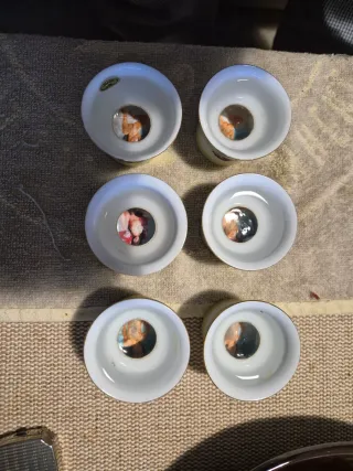 SERVICIO DE SAKE CHINO