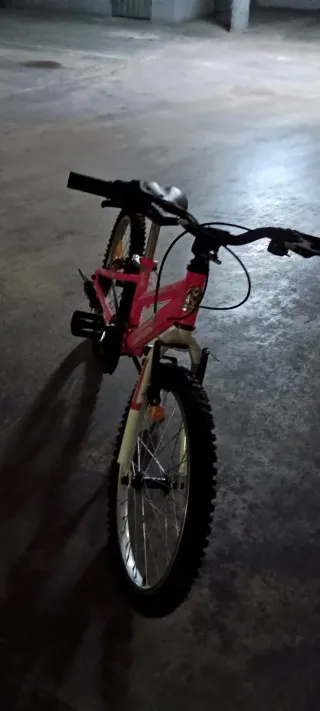 Bicicleta infantil 20 pulgadas Recogida en mano