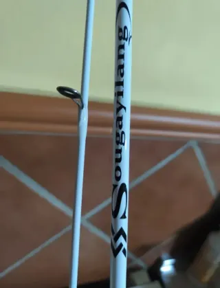 Caña de pescar Sougayilang Spinning 1,80m