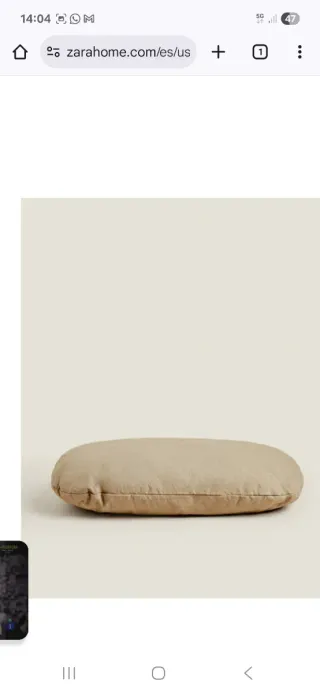 Cojín Zara Home perro nuevo