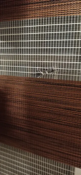 Tende giorno e notte marrone e bianco