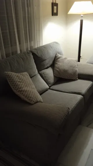 Sofá de 2 plazas gris