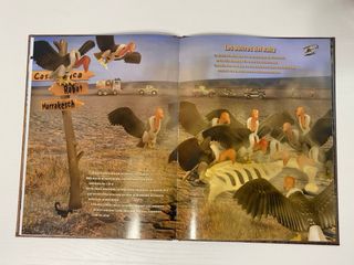 La gran aventura de los animales con Playmobil