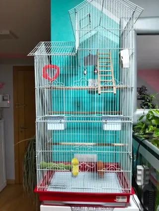 Jaula para pájaros, periquitos, agapornis,ninfas