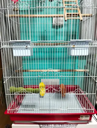 Jaula para pájaros, periquitos, agapornis,ninfas