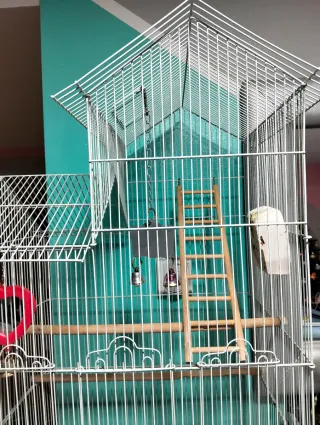 Jaula para pájaros, periquitos, agapornis,ninfas