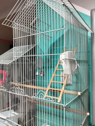 Jaula para pájaros, periquitos, agapornis,ninfas